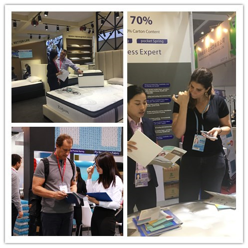 Grigio costante 36cm a 14 pollici del materasso a molle singolo della tasca 11